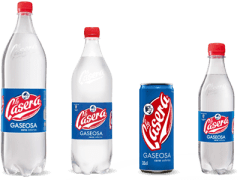 gaseosa-casera